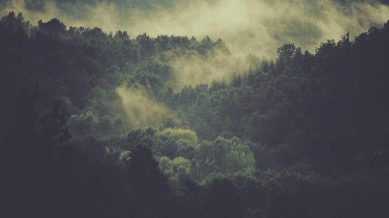 Why Is 99Exch Bank Verification Required For Withdrawals?